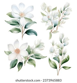 Set of vector white bloom floral watercolor