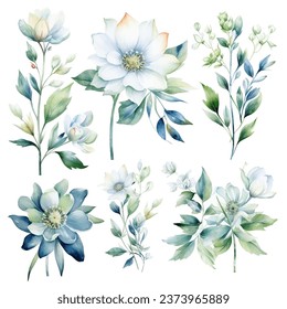 Set of vector white bloom floral watercolor