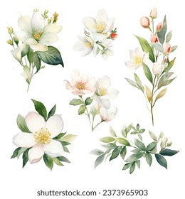 Set of vector white bloom floral watercolor