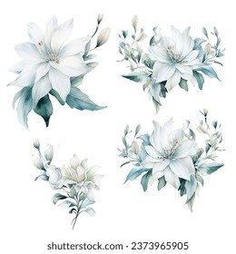 Conjunto de acuarela floral vectorial de flor blanca