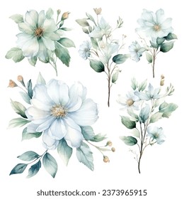 Set of vector white bloom floral watercolor