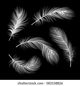 Set of vector white light feathers on black background