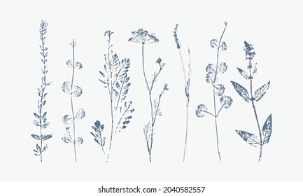 set of vector wild flowers (hand printed textured botanical illustrations)