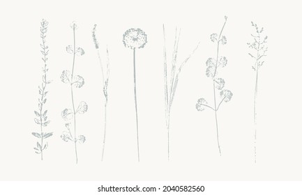 set of vector wild flowers (hand printed textured botanical illustrations)