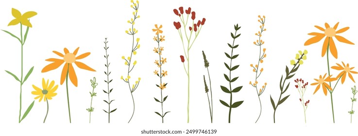 Satz von Vektorwildblumen und -zweigen