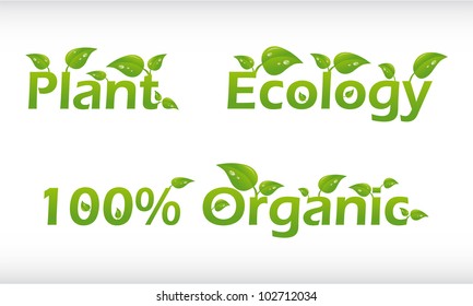 Set of vector words with leafs - plant, ecology, 100% organic