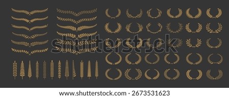 Set vector wreaths branches vector