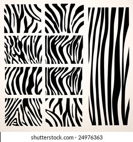 set of Vector zebra texture Black and White