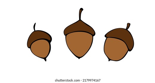 Set of vectors acorns in doodle flat style. Hand drawn color illustrations, cliparts, design elements isolated. Theme of nature, forest, thanksgiving