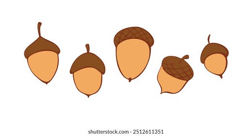 Set of vectors acorns in doodle flat style. Hand drawn color illustrations, cliparts, design elements isolated. Theme of nature, forest, thanksgiving