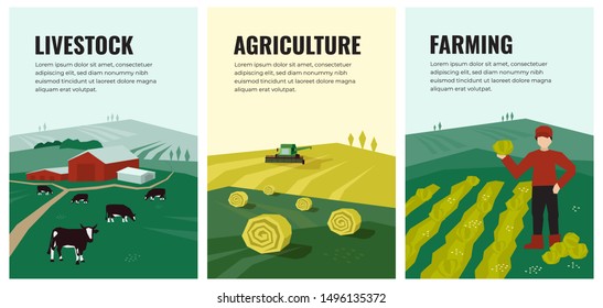 Set of vectors with agriculture, farming, livestock, harvest. Illustrations of hayfield, haystack rolls, farm animals, cows in pasture, combine harvester, farmer on field. Template for banner, poster.