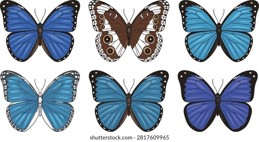A set of vector-style butterfly illustrations featuring blue, purple, and brown wing patterns on a white background. Perfect for decorative crafts, spring designs, educational materials, invitations, and nature-themed graphic projects.