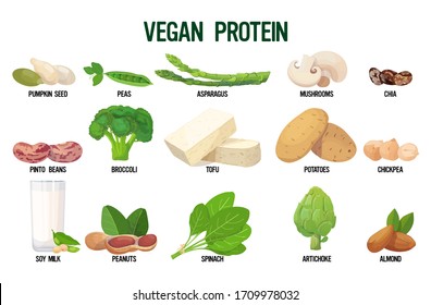 set vegan sources of protein fresh organic vegetarian food collection isolated on white background horizontal vector illustration