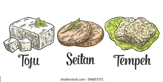 Set Vegan and Vegetarian food. Tofu, Seitan, Tempeh . Vector black vintage engraved illustration isolated on white background 