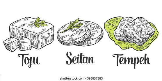 Set Vegan and Vegetarian food. Tofu, Seitan, Tempeh . Vector black vintage engraved illustration isolated on white background 