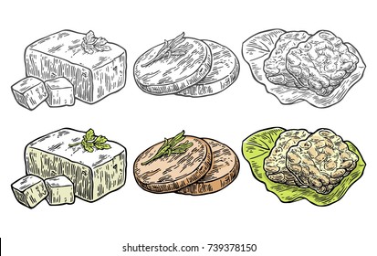 Set Vegan and Vegetarian food. Tofu, Seitan, Tempeh. Vector black and color vintage engraving illustration isolated on white background