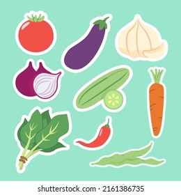 set of vegatable with Tomato, eggplant, garlic, cucumber, kale, onion, chili, green peas and carrot drawing style isolated on green background, vector