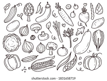 Set of vegetable doodle drawing illustration