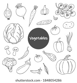 Set of vegetable doodles on a white background. Hand-drawn images. Vector for posters, web, textiles, children's coloring pages.