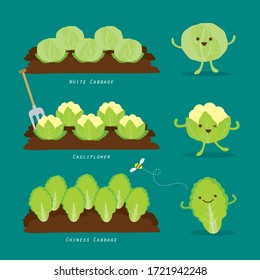 Set of Vegetable garden. Organic and healthy food Cartoon Vector illustration.