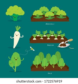 Set Of Vegetable Garden. Organic And Healthy Food Cartoon Vector Illustration.