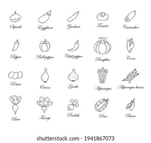 Set of vegetable icons with names. Simple vector illustration, eps