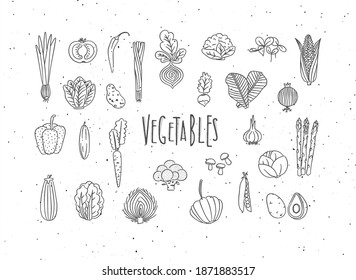 Set of vegetable icons onion, tomato, lettuce, chili, pepper, beets, radish, corn, leek, cucumber, carrot, garlic, asparagus, mushrooms, eggplant, lettuce, artichoke, broccoli, pumpkin, peas, avocado 