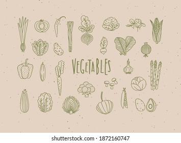 Set of vegetable icons onion, tomato, lettuce, chili, pepper, beets, radish, corn, leek, cucumber, carrot, garlic, asparagus, mushrooms, eggplant, lettuce, artichoke, broccoli, pumpkin, peas, avocado 