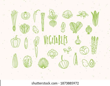 Set of vegetable icons onion, tomato, lettuce, chili, pepper, beets, radish, corn, leek, cucumber, carrot, garlic, asparagus, mushrooms, eggplant, lettuce, artichoke, broccoli, pumpkin, peas, avocado 