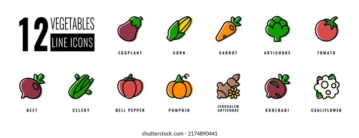 Set vegetable icons tomato, pumpkin, beet, carrot, artichoke, bell pepper, eggplant, kohlrabi, cauliflower, maize, pumkin, celery. Isolated vector icons. Stylish solution for app, website or logo.