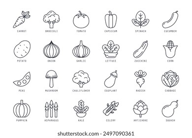 Set of vegetable icons vector illustration. icons bundle isolated on white background