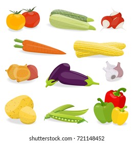 Set of vegetable isolated on white background.
