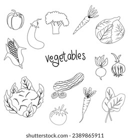 Set of Vegetable Line Art Illustration