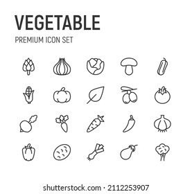 Set of vegetable line icons. Premium pack of signs in trendy style. Pixel perfect objects for UI, apps and web. 