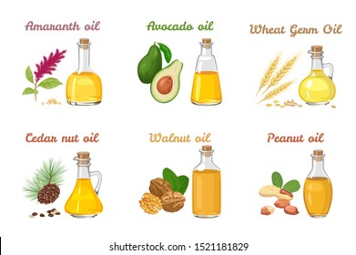 Set of vegetable oils in different glass bottles isolated on a white background. Wheat Germ Oil, Amaranth, Avocado, Cedar nut oil, Walnut and Peanut. Vector illustration of food in cartoon flat style.