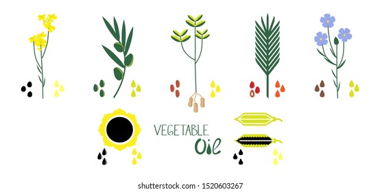 A set of vegetable oils of different types. Flat vector illustration of sunflower, olive, palm, sesame, linenseed, colza, peanut oil.
