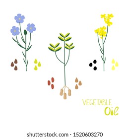 A set of vegetable oils of different types. Flat vector illustration of  linenseed, colza, peanut oil.