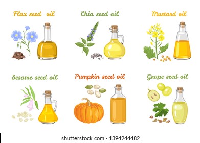 Set of vegetable oils in glass bottles of different shapes. Mustard, sesame, pumpkin, chia, linseed and grape seed oil isolated on white background. Vector illustration of food in cartoon flat style.