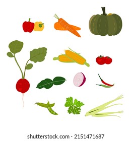 set of vegetable on white background