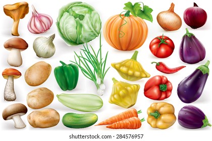 Set of vegetable on white background. Vector illustrations