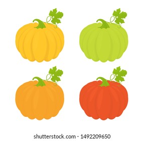 Set of vegetable pumpkins with green leaves. Botanical illustration isolated on white background. Vector EPS 10