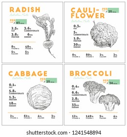 Set of vegetable, radish, cauliflower, cabbage and broccoli, health benefits. Vector illustration with useful nutritional facts.