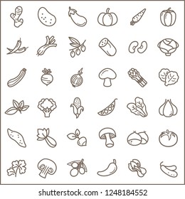 Set of Vegetable Related Vector Line Icons.Contains such Icons as ginger, potato, eggplant, cucumber, radish, mushroom, onion, beet, tomato, chestnut and more.