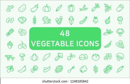 Set of Vegetable Related Vector Line Icons.Contains such Icons as ginger, potato, eggplant, cucumber, radish, mushroom, onion, beet, tomato, chestnut and more.