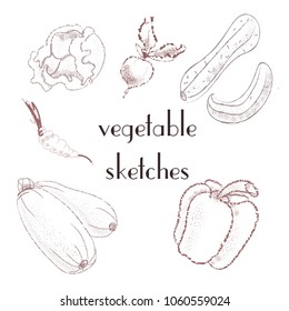 set of vegetable sketches