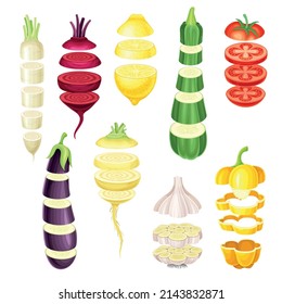 Set of vegetable slices lying in vertical rows. Healthy organic cutting pepper, turnip, zucchini, tomato, daikon, eggplant, garlic vector illustration