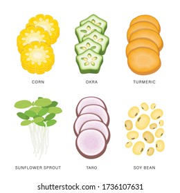 Set of Vegetable Slices. Organic and healthy food isolated element Vector illustration.