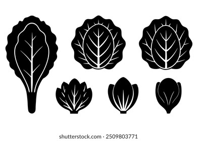 a set of vegetable vector design 