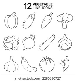 Un conjunto de íconos vectoriales vegetales - tomate, pepino, pimienta, cebolla, ajo, brócoli, col, zucchini, berenjena, pimienta caliente, zanahoria, remolacha. Colección de iconos de esquema.