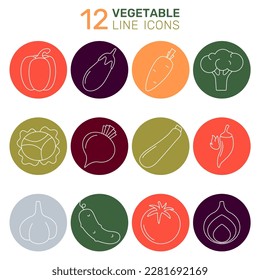 A set of vegetable vector icons - tomato, cucumber, pepper, onion, garlic, broccoli, cabbage, zucchini, eggplant, hot pepper, carrot, beetroot. Collection of Outline icons.